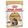 Royal Canin Breed Health Royal Canin Cat Adult Maine Coon 85 gr - bocconcini in salsa - Cibo umido per gatti - 1° ORDINE? scegli lo sconto BZR5 / BZR20 + 200 punti fedeltà