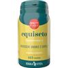 ERBA VITA GROUP SpA Equiseto 125tav
