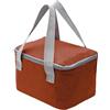 Nanxson Borsa Termica Porta Pranzo 4L Frigo Riutilizzabile Portatile Borsa | Mini Borsa Frigo Piccola Borsa,Impermeabile Lunch Bag,Termica Pranzo al Sacco,per Lavoro,Ufficio,Scuola,Picnic,Viaggi