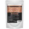 GlasGarten Vetro Giardino Shrimp Snacks Arte Mia 30 G