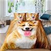Homemissing Corgi - Set copripiumino 3D con stampa di cani, ragazze,, set di copripiumino morbido e soffice, , 2 pezzi