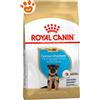 Royal Canin Dog Puppy German Shepherd (Pastore Tedesco) - Sacco Da 12 Kg