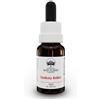 BUSH BIOTHERAPIES Pty Ltd BANKSIA ROBUR AUSTRALIAN GTT15