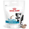 Royal Canin Veterinary Diet Royal Canin Treats Hypoallergenic Snack cane - 230 g