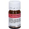 Dr.reckeweg & CO. DR.RECKEWEG R40 Compresse 10 g
