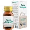 FORZA VITALE ITALIA Srl ECOSOL Fucus Comp.25g
