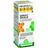 SPECCHIASOL Srl EPID SPRAY OS ERBE BALSAM 15ML