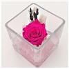 Ars Nova Cubo fondo pietra con rosa baccara cm 12x12 - fucsia