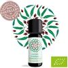 Amon&Anis Eucalipto - olio essenziale - bio - 10ml