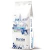 MONGE 12 kg Monge VetSolution Cane Dermatosis Alimento Dietetico Crocchette Croccantini in Caso di Dermatosi e Perdita di Peli