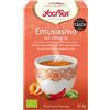 PROBIOS BIOTOBIO YOGI TEA JOIE DE VIVRE BIO 17F