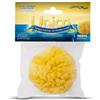 STERILFARMA Srl Unico Spugna Marina Arcipelago Del Mediterraneo Naturale 10-11