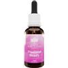 BUSH BIOTHERAPIES Pty Ltd SKIN BEAUTY 30ml