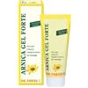 Naturwaren Dr. Theiss Arnica Gel Forte 100ml