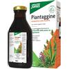 SALUS HAUS GMBH & CO KG PIANTAGGINE 250ML