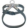 JACK AND VANILLA, Imbracatura in Pelle Robusta per Animali, vestibilità Personalizzata, Design Elegante, Sicurezza Rinforzata, Ideale per Passeggiate, Dimensioni 10 x 50 cm, Colore Grigio, Modello