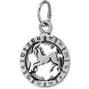 NKlaus 925 Ciondolo d'argento Sterling Oroscopo Segno Zodiacale Capricorno Zodiaco 6326
