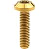 Yaruijia Bullone in titanio M8 x 15/20/25/30/35/40 mm, viti a brugola per parti di biciclette e moto (M8 x 30 mm, oro)