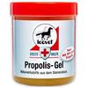 Leovet PROPOLIS GEL, 350 ML