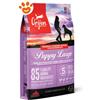 Orijen Dog Puppy Large - Sacco Da 11,4 Kg