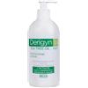 SELLA Srl Derigyn Tea Tree Oil Protezione Intima 500ml Fast - Dermodetergente Intimo con Glicerina e Vitamina E