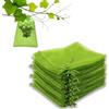 Leeyunbee 100 Pezzi Sacchetto di Protezione dell'uva 17 x 23 cm, Sacchetti Rete da Giardino, Rete Protettivi per Frutta con Coulisse, Contro Vespe Uccelli (Verde)