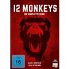 Fernsehjuwelen 12 Monkeys - Die komplette Serie (Alle 4 Staffeln) (Fernsehjuwelen)