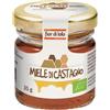 HEALTION Srl SOCIETA' BENEFIT Fdl Mini Miele Castagno Bio 35g