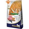Farmina Dog N&D Ancestral Grain Adult Mini Agnello e Mirtillo - Sacco Da 800 Gr