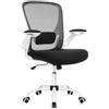 SONGMICS Sedia da Ufficio, Sedia Girevole, Sedia di Rete, Sedia da Computer Ergonomica, Supporto Lombare Imbottito, Funzione Oscillante, Seduta 53 cm, Braccioli Pieghevoli, Bianco e Nero OBN37WT