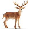 Schleich WILD LIFE | Cervo dalla coda bianca 14818 | figura di animale dettagliata | giocattolo zoo | regalo per bambine e bambini | figura da collezione | dai 3 anni | 11 x 5 x 10 cm