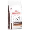 Royal Canin Veterinary Diet Gastrointestinal Low Fat Small Dog - Royal Canin - Veterinary Diet Gastrointestinal Low Fat Small Dog - 3,50KG