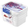 Rotho Domino Set di 4 barattoli per congelatore da 0,5 l con motivo scrivibile sul coperchio, plastica (PP) senza BPA, bianco, 4 x 0,5 l (15,7 x 11,8 x 5,5 cm)