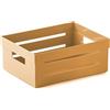 Snips Cassetta Multiuso, Organizer Multiuso, Contenitore Multiuso 2 LT, Colore Senape, 20 x 15 x 8,5 cm, Made in Italy