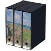 FCP Set raccoglitori dorso 8 cm - PASSEGGIATA SULLA SCOGLIERA - Compatibile con Kaos