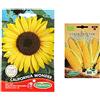 Germisem California Wonder Semi di Girasole 4 g & Biologico Golden Bantam Semi di Mais Dolce 7 g