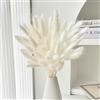 Frogetu 120 PCS Code di Coniglio Erba della Pampa Fiori Secchi Naturali,Bouquet Fiori Secchi,Erba di Pampa Essiccata,Pampas Decorative Piccole,Fiori Secchi Decorativi per Vaso,Pampas,Pampas Decorative