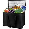 Anicy Borsa Frigo Grande Pieghevole - Borsa Termica da Picnic, Borsa per il Pranzo, Campeggio, Barbecue, Viaggi