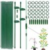 ShengBiLong Tutori per Piante, 20 Pezzi Sostegno per Piante, Viene Fornito con 30 Moschettoni con 10 Tubi di Srolunga, Bastoncino per Tenere Piante Dritte, Stecche per Orchidee (100 PCS)