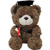 HENGBIRD Orsacchiotto di peluche, orsetto di esamo, per laurea, piccolo orsacchiotto, 23 cm, per laurea, laurea o studio
