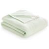 Todocama - Coperta in cotone extra morbida con motivo a righe, copriletto multiuso quattro stagioni per divano, letto, copridivano, coperta decorativa e coperta a foglio, (verde menta, 180 x 240 cm).
