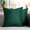 Cheekywares Federe Cuscini Verdi 50 x 50 cm Copricuscini Cuscino Quadrato in Velluto con Texture Spighe di Grano Fodera Primavera Estate Decorativo Moderno per Soggiorno Camera Balcone Esterno Set di 2