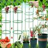 Weploda 100 Pezzi Traliccio Per Pomodori, Gabbie Per Pomodori Con Altezza Regolabile, Pali Di Supporto Per Piante, Traliccio Da Giardino Arrampicata Per Ortaggi, Frutta E Fiori(50 Anelli + 50 Aste)