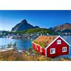 HUADADA Puzzle da 1000 Pezzi per Adulti - Puzzle Impossible, Regalo di Abilità, Intelligente e Colorato - Motivo Norvegese Lofoten