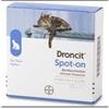 Bayer Div. Animale Droncit Spot On Antiparassitario per gatti 4 tubetti x 0,5 ml