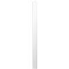 Cereria Di Giorgio - Cero Pasquale Diametro 8 cm Altezza 120 cm - Colore Bianco - Lunga durata - Dimensione standard