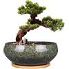 EPFamily Vaso per bonsai in ceramica, 20 cm, smaltato, poco profondo, con foro di drenaggio e piattino in bambù, per piante da interno, verde