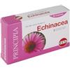 KOS Srl ECHINACEA ESTRATTO SECCO 60CPR