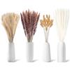 Criveple 65 Pezzi Decorazione di Pampas Grass Naturale, Decorazione da Tavolo Boho, Canne Secche e Fiori di Coda all'Uncinetto Secchi, per di Boho Decorazioni per la Casa
