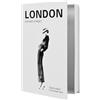 Gwezmxs Libro Cassaforte Finto Contenitore, Libri Finti Decorativi Arredamento (Bianco)